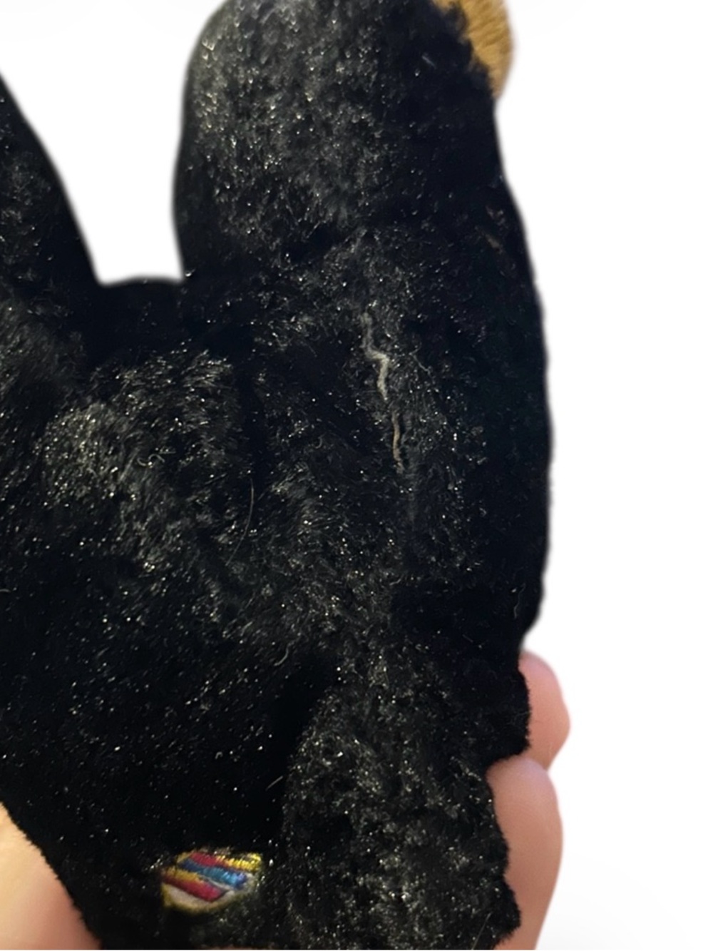 Webkinz Rottweiler HM183 Ganz Retired Black Brown Puppy Dog Plush NO CODE 8" - Picture 4 of 4